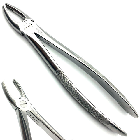 Extracting Forceps Upper Lateral and Canine #33 C4